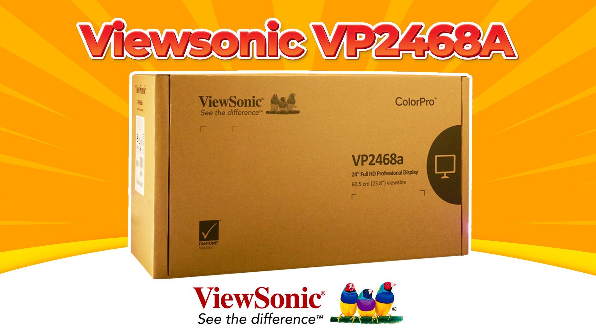 Màn Hình ViewSonic VP2468A - SỰ LỰA CHỌN HOÀN HẢO CỦA CÁC DESIGNER | Đập hộp cùng BLPC #2